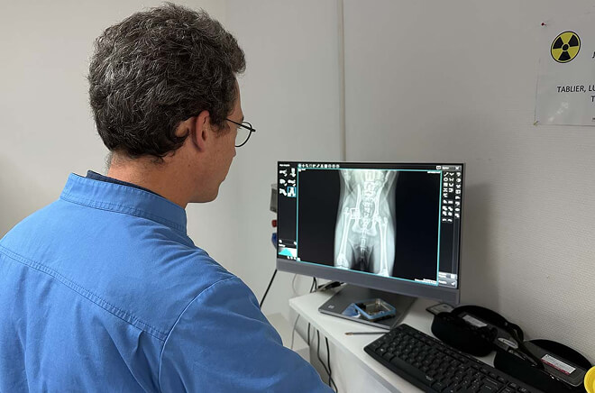 GP-Imagerie Imagerie vétérinaire, services vétérinaires du Porhoët